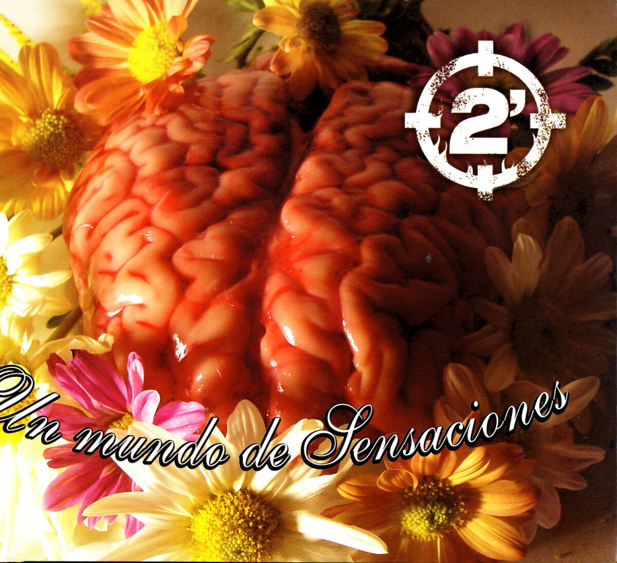 2 Minutos - Un Mundo de Sensaciones