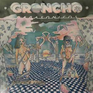 Babasónicos - Groncho