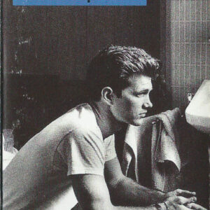 Chris Isaak - Heart Shaped World