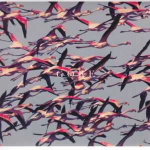 Deftones - Gore