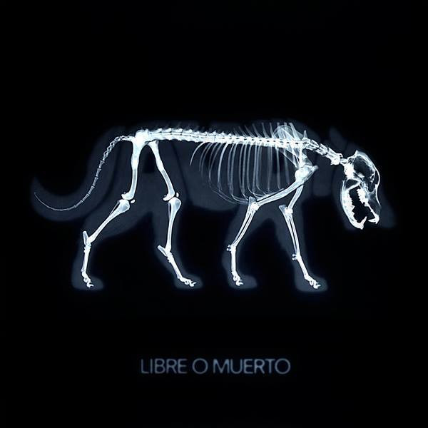 Jauría - Libre O Muerto
