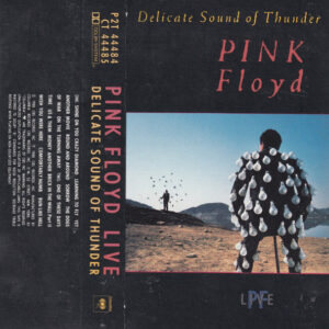 pink-floyd-delicate-sound-of-thunder-el-delicado-sonido-del-trueno.jpg Pink Floyd - Delicate Sound of Thunder = el Delicado Sonido del Trueno
