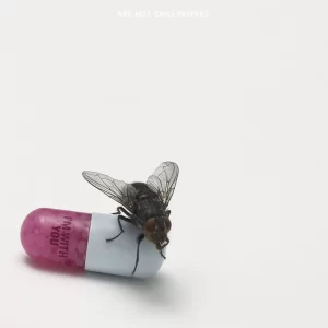 Red Hot Chili Peppers - Im With You (Vinilo Doble)