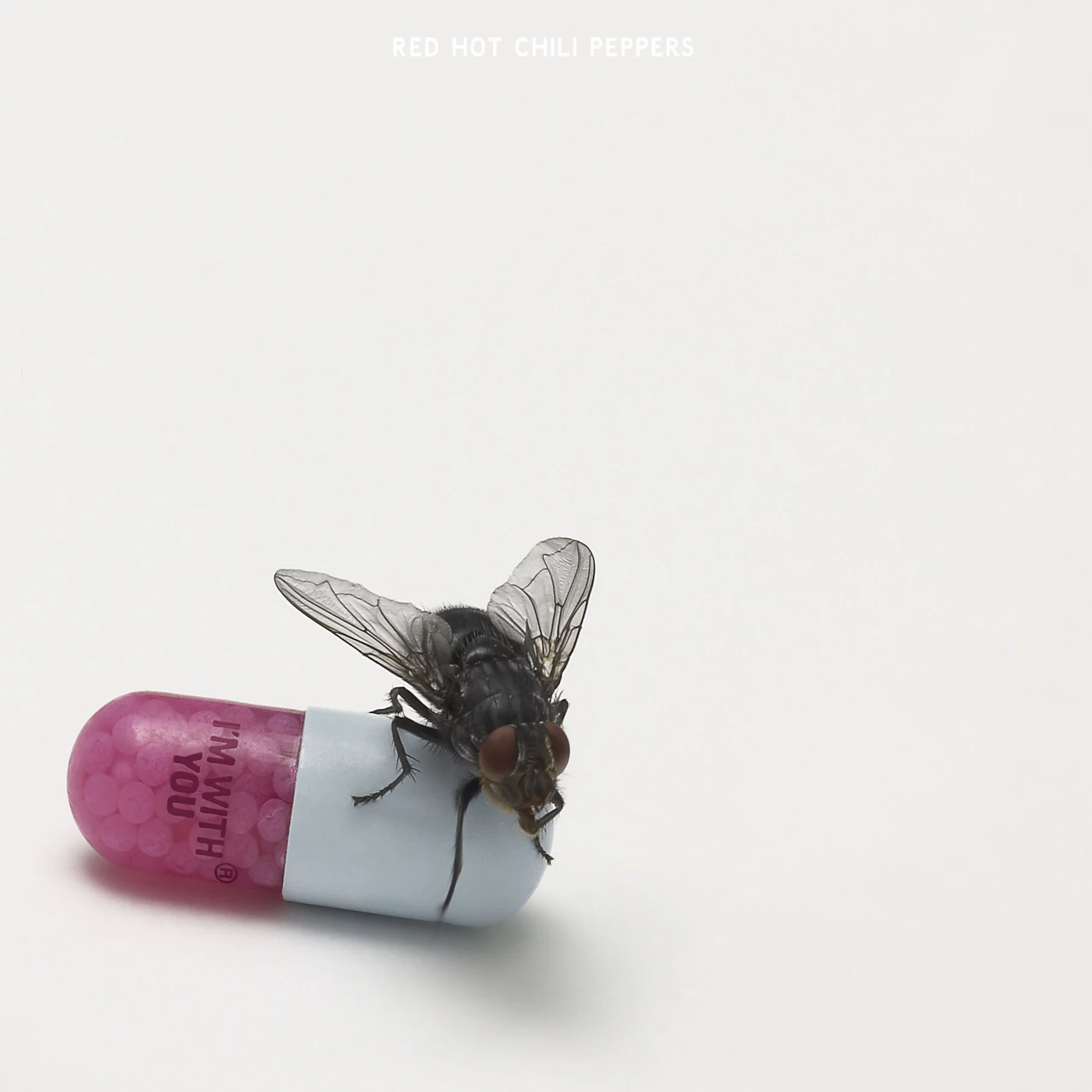 Red Hot Chili Peppers - Im With You (Vinilo Doble)