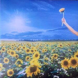stone-temple-pilots-thank-you.jpg Stone Temple Pilots - Thank You